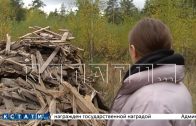 Вдоль Московского шоссе вырастает кладбище из снесенных ветхих домов
