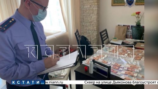 Коррупционный скандал в Росприроднадзоре — за взятки задержаны руководители в Н.Новгороде и Самаре