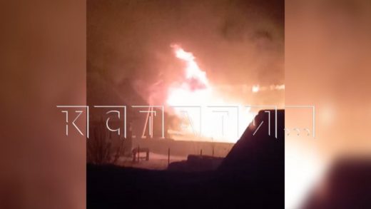Дом зоозащитницы сгорел вместе с животными — в пожаре пострадавшая винит энергетиков