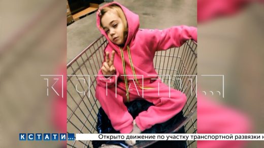 Уголовное дело возбуждено по факту смерти девочки, недождавшейся помощи от нижегородского минздрава