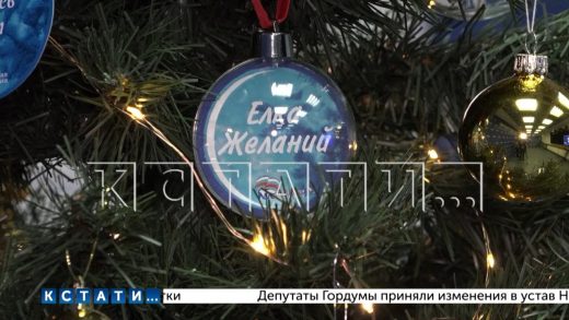 В Нижегородской области сегодня стартовала новогодняя акция — «Елка желаний»