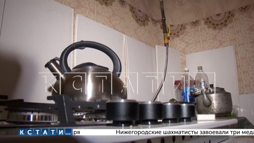 Опыт газификации домовладений в Нижегородской области признан успешным