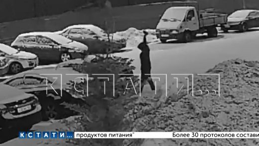 Мужчина с топором напал и зарубил автомобили в Приокском районе