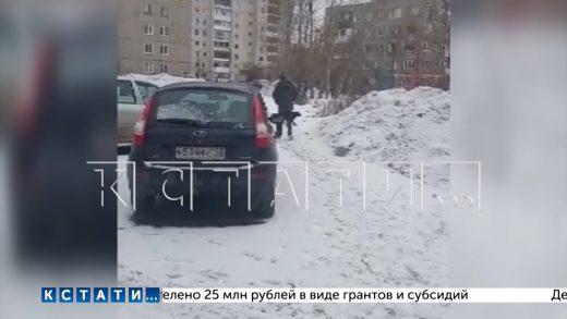 В Дзержинске мужчина открыл стрельбу по собакам прямо на детской площадке