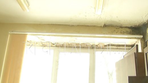 В заплесневевших кабинетах с текущими крышами приходится работать медикам в Арзамасском районе