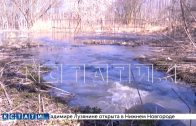Канализационные стоки в Балахнинском районе без очистки сливают в речку Трестьяну, а оттуда в Волгу