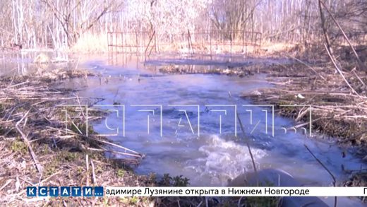 Канализационные стоки в Балахнинском районе без очистки сливают в речку Трестьяну, а оттуда в Волгу