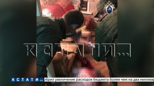 Пенсионер в Чкаловском районе расстрелял свою семью и покончил с собой