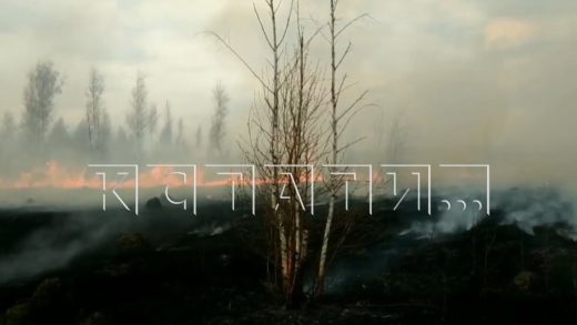 Травяной пожар в Лукояновском районе едва не уничтожил деревню Елфимово