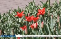 В этом году в Нижнем Новгороде будет высажено 36 000 квадратных метров цветников