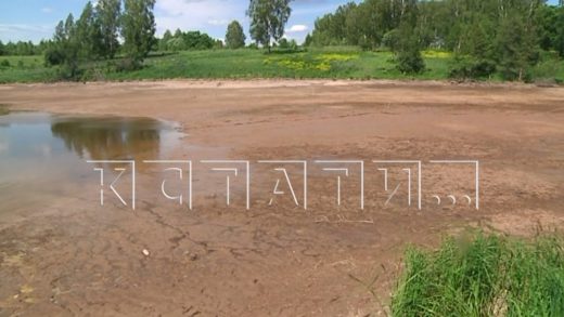 Озеро, которому никто не хотел помогать, взяло и исчезло в Бутурлинском районе