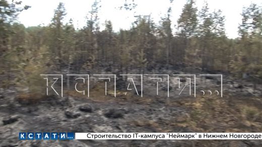 Первый крупный торфяной пожар разгорелся в Борском районе
