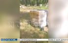Десятки пластиковых кубов с ядохимикатами свалили в лес в Володарском районе