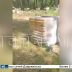 Десятки пластиковых кубов с ядохимикатами свалили в лес в Володарском районе