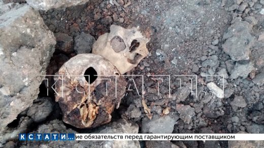 Множество человеческих останков обнаружено при ремонте теплотрассы в Большом Мурашкино