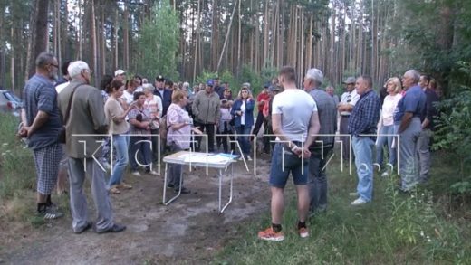 Спортсмены и физкультурники снова начали сбор подписей за спасение леса в Дубравном