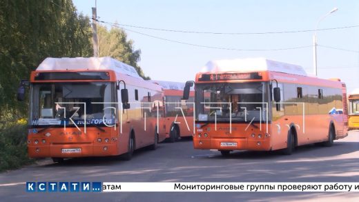 Работу общественного транспорта в Нижнем Новгороде будут контролировать 4 мониторинговые группы