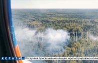 За посещение лесов в Нижегородской области введен штраф в 40000 рублей