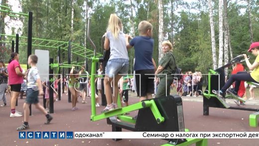Жители посёлка Смолино будут готовиться к труду и обороне — там открыли новую спортплощадку