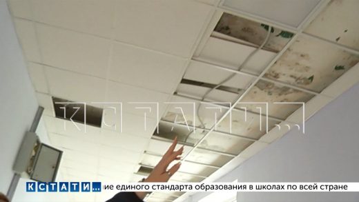 После возбуждения второго уголовного дела по махинациям с капремонтом школ, глава УКС уволился