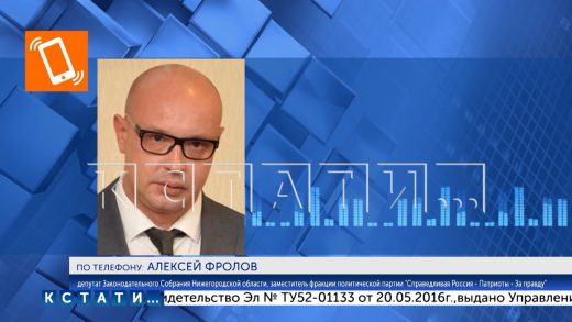 Судимый по уголовной статье депутат обнаружен в Законодательном Собрании Нижегородской области