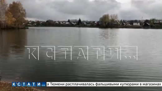 «Черные» ассенизаторы заполнили озеро в Кстовском районе фекальными массами