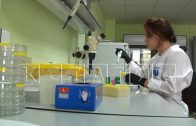 Нижегородские ученые разрабатывают новые стратегии лечения онкологических заболеваний