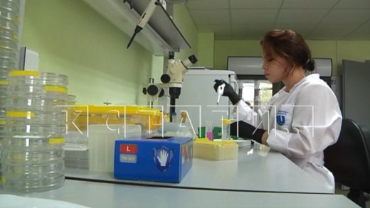 Нижегородские ученые разрабатывают новые стратегии лечения онкологических заболеваний