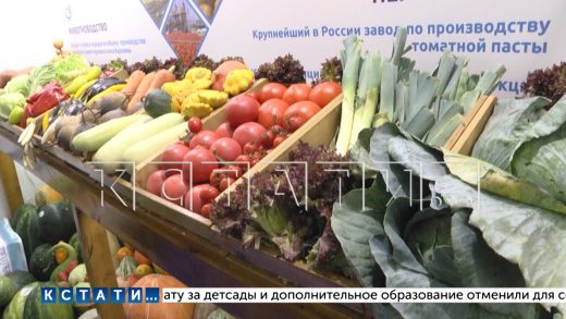 Свою продукцию представили нижегородцы на всероссийской агропромышленной ярмарке «Золотая осень»