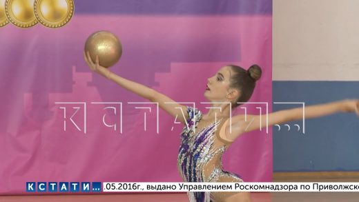 В Нижнем Новгороде прошёл турнир по художественной гимнастике на призы Дины и Арины Авериных