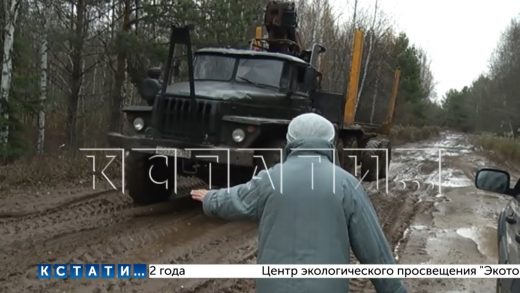 Дороги в Семеновском районе стали жертвой лесовозов