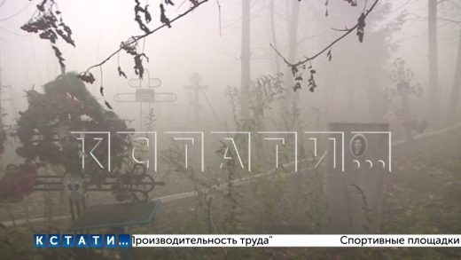 Федяковское кладбище затянуло дымом из-за пожара на нелегальной свалке