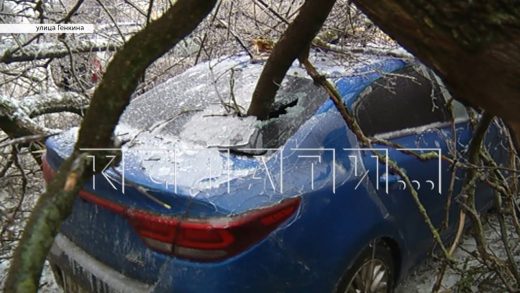 Ледяной дождь оставил тысячи людей без электричества и уничтожил десятки автомобилей
