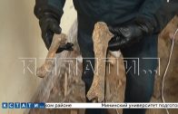 Массовое захоронение человеческих останков обнаружено в школе под коридором и учебными классами