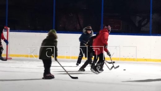 В Автозаводском районе лучшие игроки «Торпедо» проводят мастер-классы для всех любителей хоккея