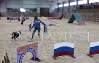 В Нижнем Новгороде прошли всероссийские соревнования по кинологическому спорту