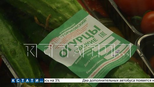 Поддельные огурцы — по 500 рублей за килограмм — появились в нижегородских магазинах