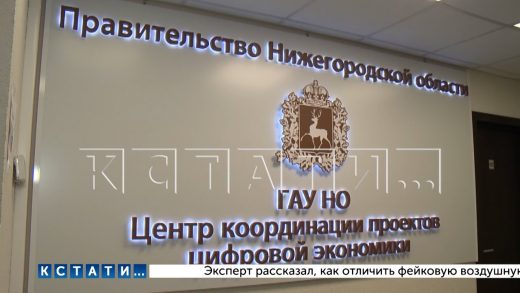 Свое 16-летие отметил нижегородский портал «Госуслуг»