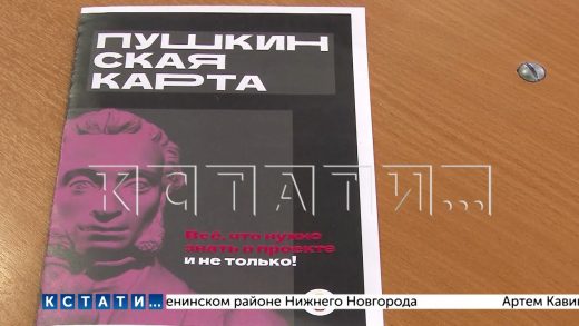 В Нижнем Новгороде по «Пушкинской карте» в этом году продано уже более 12 000 билетов