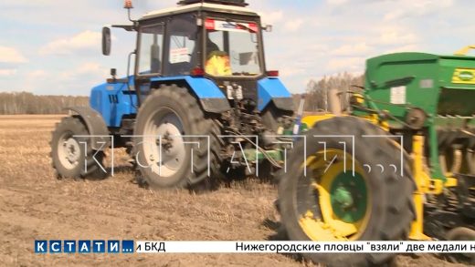 Более 1 миллиона гектаров планируется засеять в Нижегородской области в этом году