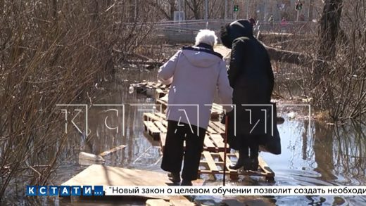 Дорогу из поддонов построила администрация Московского района, чтобы спасти жителей от паводка