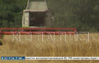 Производство сельхозпродукции в Нижегородской области за прошлый год выросло на 20%