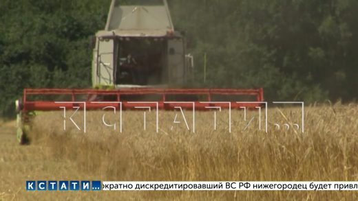 Производство сельхозпродукции в Нижегородской области за прошлый год выросло на 20%