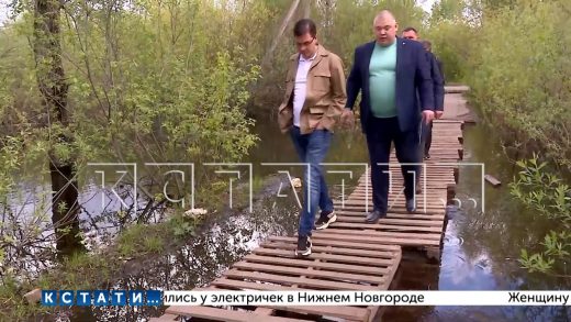 «Дорогу из поддонов», где в паводок резвились караси, сегодня осмотрел мэр Нижнего Новгорода