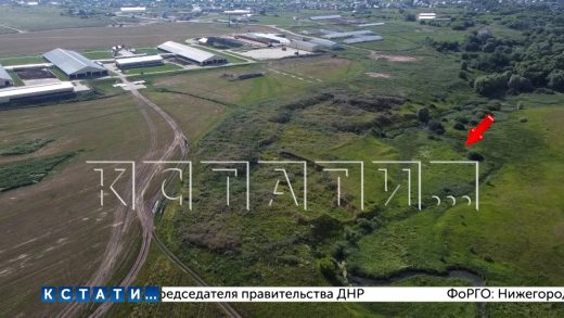 Канализационные стоки крупного сельхозпредприятия напрямую сливают в реку в Починковском районе