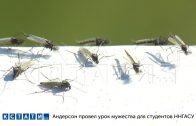 Огромные тучи комаров выстроились вдоль трассы на Горьковском море