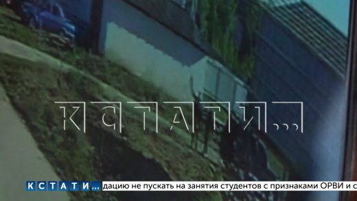 Пьяная компания на «Лэндкрузере» открыла стрельбу в деревне Новоликеево