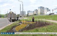 В Нижнем Новгороде в 2023 году высадят более миллиона цветов