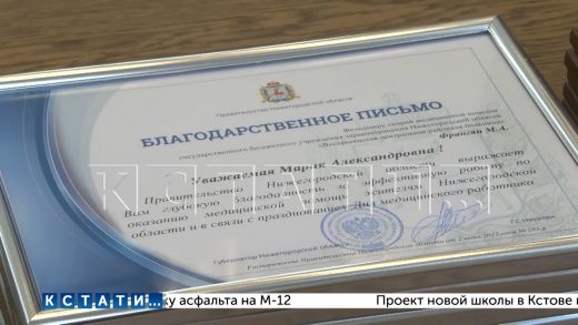 Лучшие врачи Нижегородской области получили награды в преддверии профессионального праздника