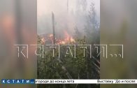 Удар молнии привел к пожару в Креженском заповеднике